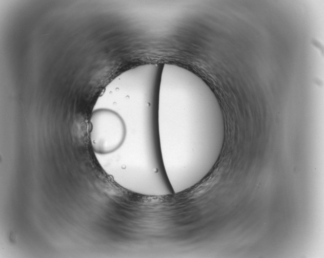 X0000095550624200712281607