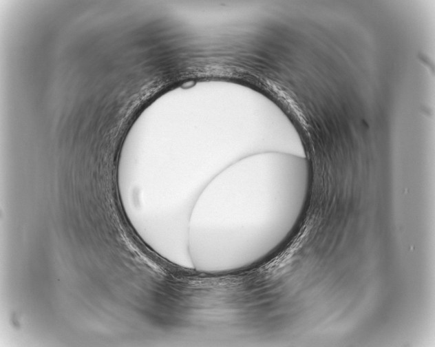 X0000095550625200712281607