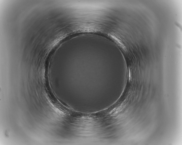 X0000095550627200712281607