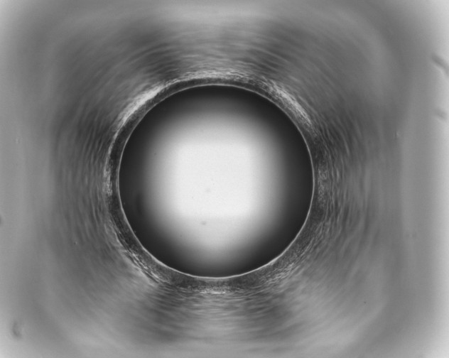 X0000095550628200712281607