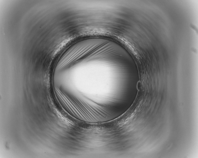 X0000095550629200712281607