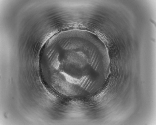 X0000095550630200712281607