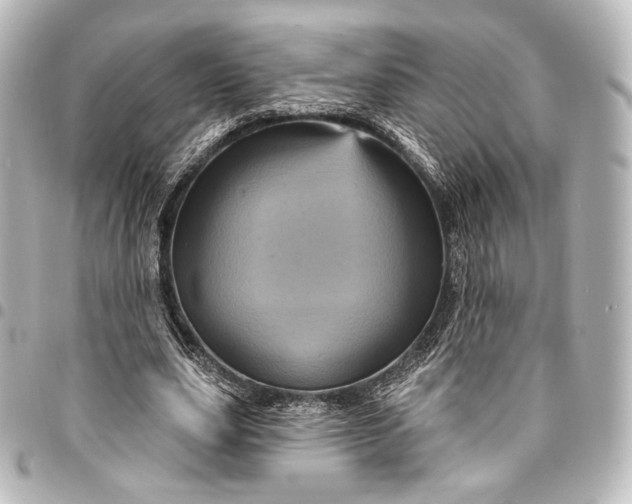 X0000095550631200712281607