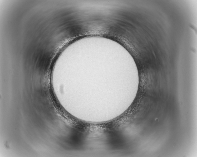 X0000095550632200712281607