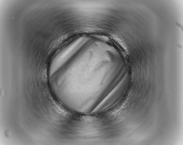 X0000095550633200712281607