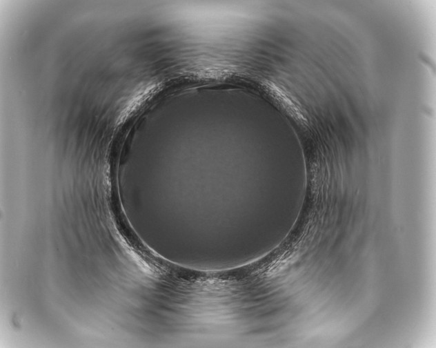 X0000095550634200712281607