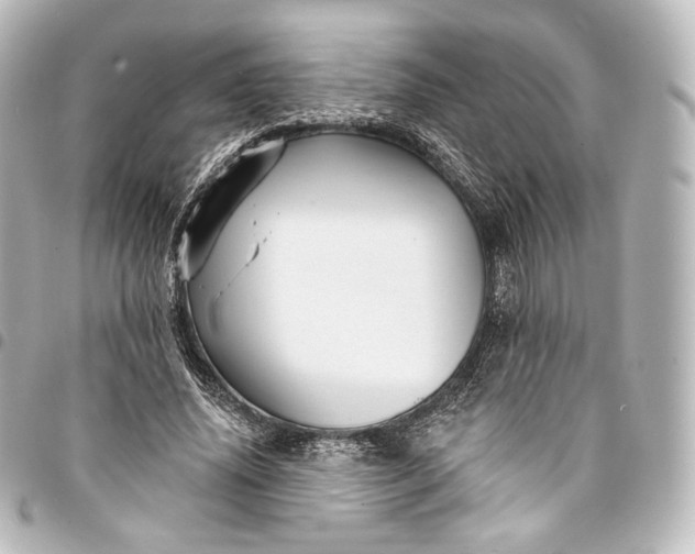 X0000095550636200712281607