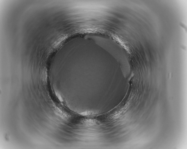 X0000095550637200712281607