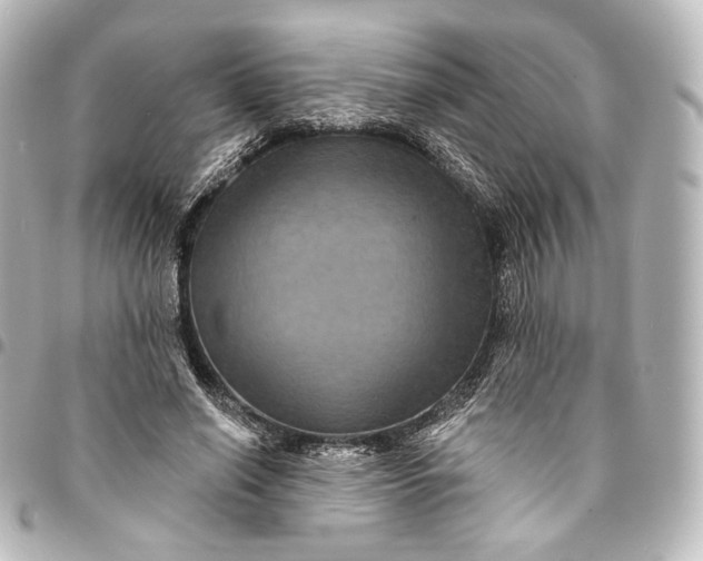 X0000095550638200712281607