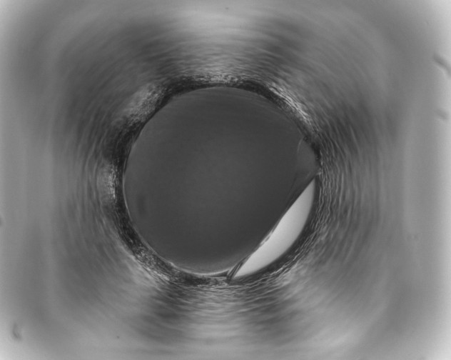 X0000095550643200712281607