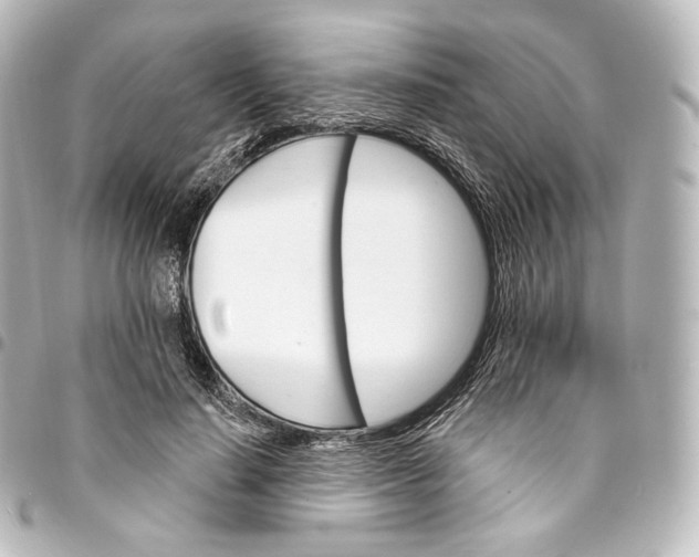 X0000095550644200712281607