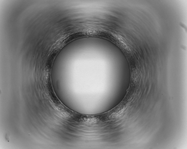 X0000095550645200712281607