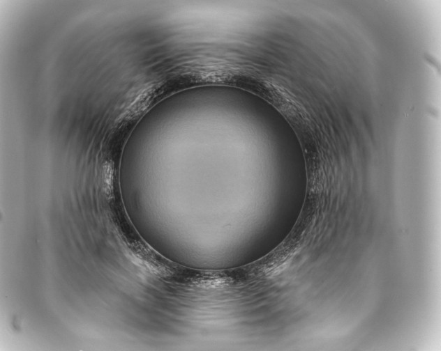 X0000095550646200712281607