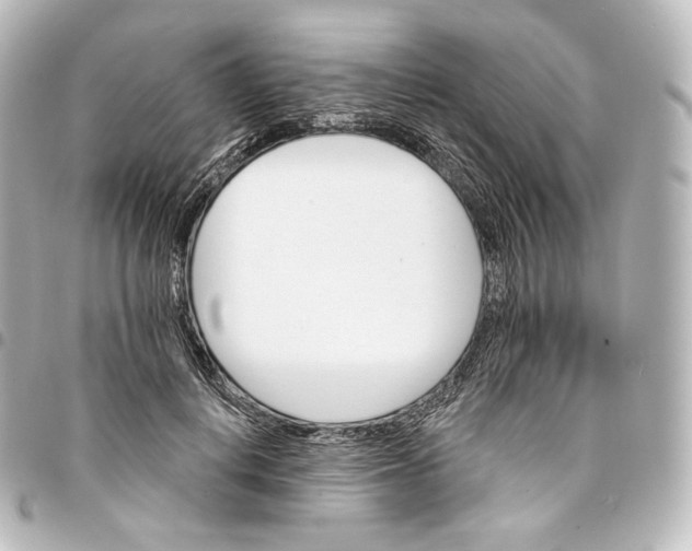 X0000095550648200712281607