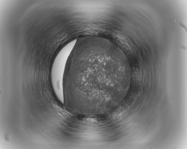 X0000095550649200712281607