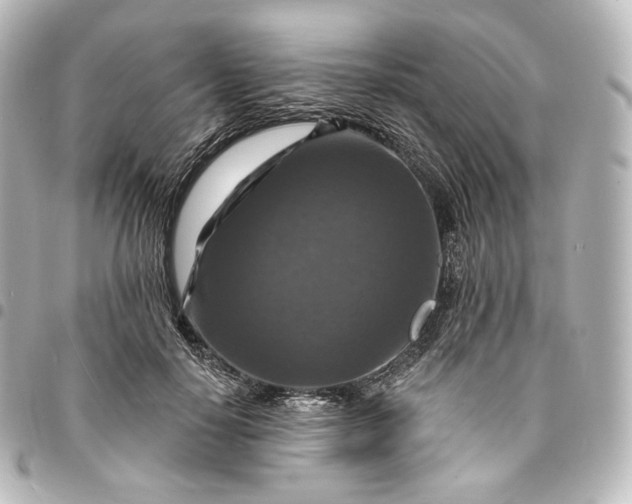 X0000095550650200712281607