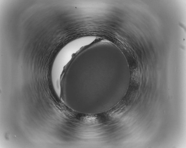 X0000095550651200712281607