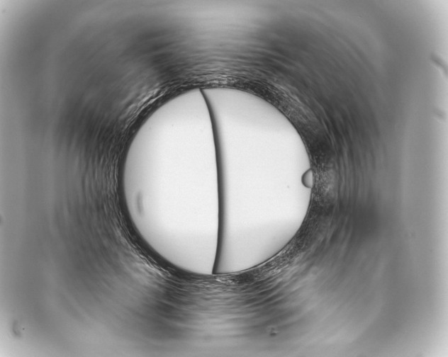 X0000095550652200712281607