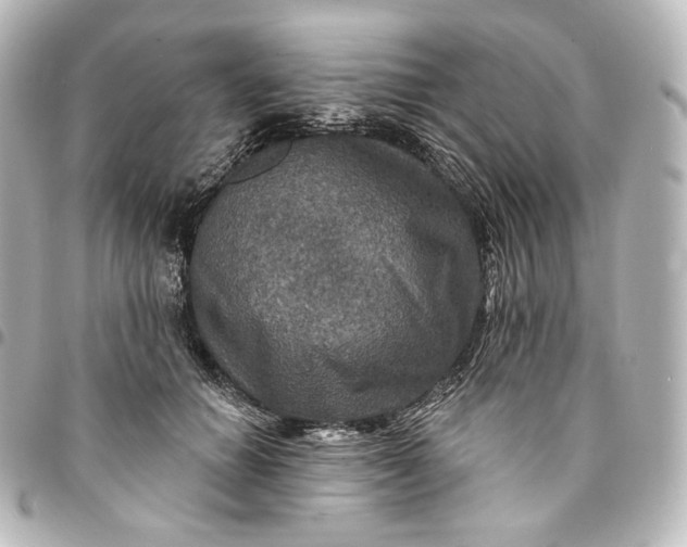 X0000095550654200712281607