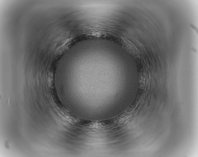 X0000095550656200712281607