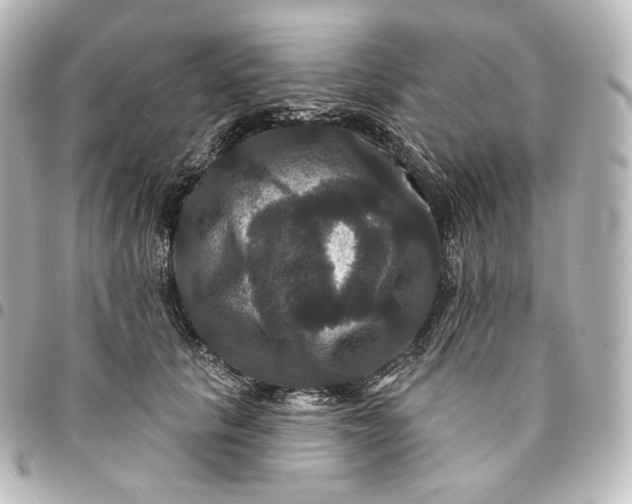 X0000095550657200712281607