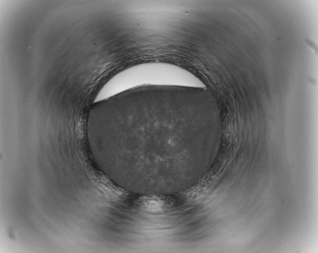 X0000095550658200712281607