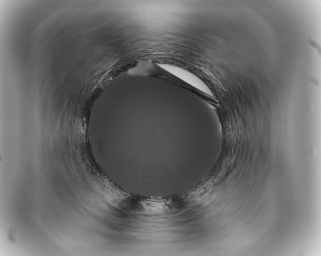 X0000095550661200712281607