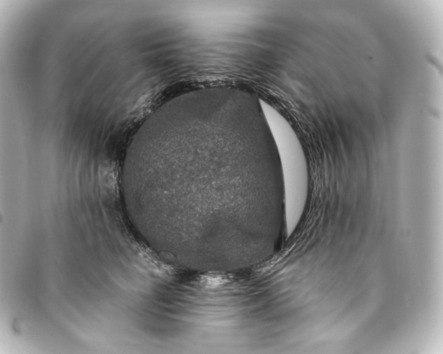 X0000095550662200712281607