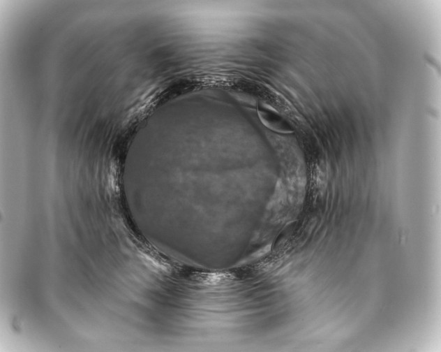 X0000095550663200712281607