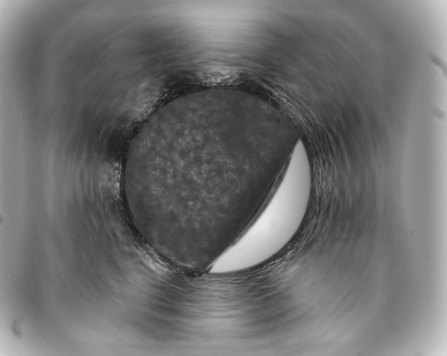 X0000095550664200712281607