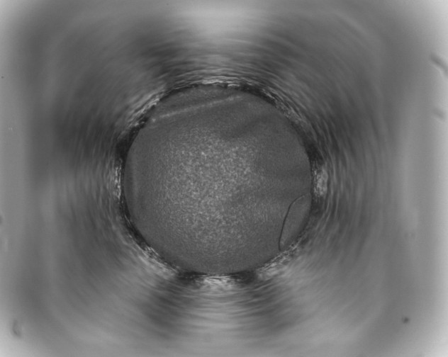 X0000095550666200712281607