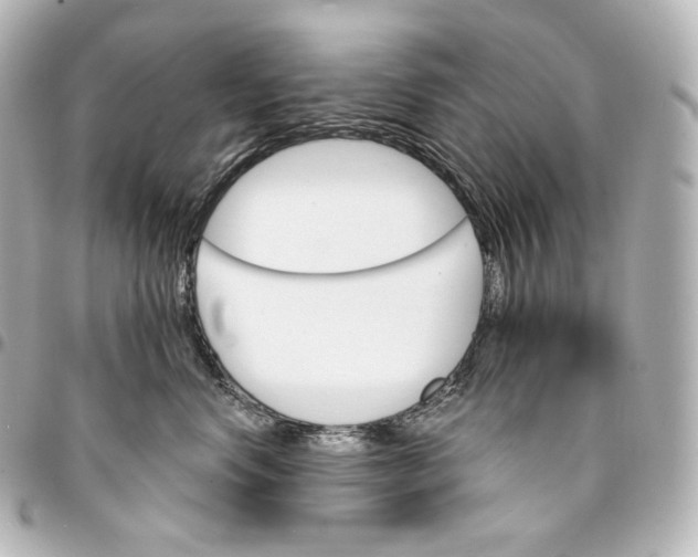 X0000095550668200712281607