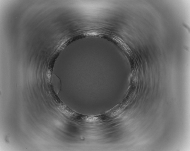 X0000095550669200712281607