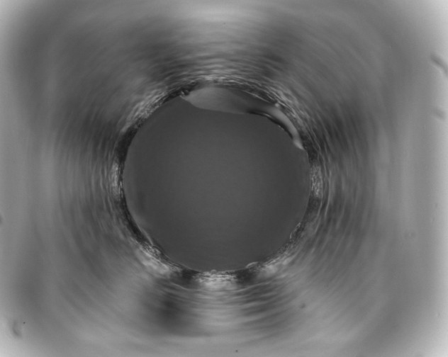 X0000095550670200712281607