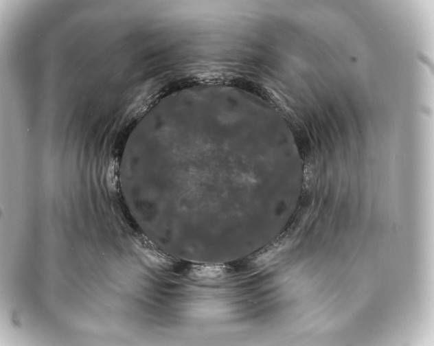 X0000095550671200712281607