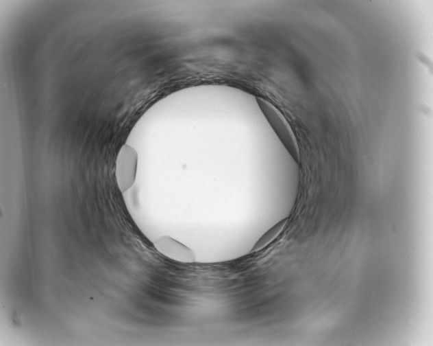 X0000095550672200712281607