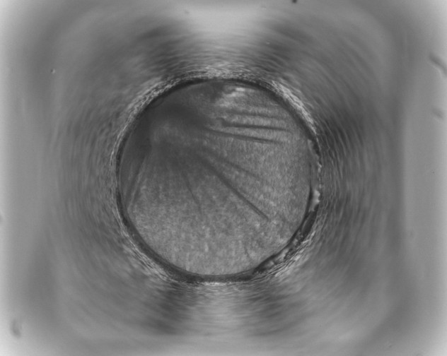 X0000095550673200712281607