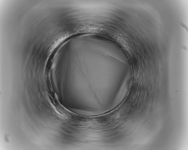 X0000095550674200712281607