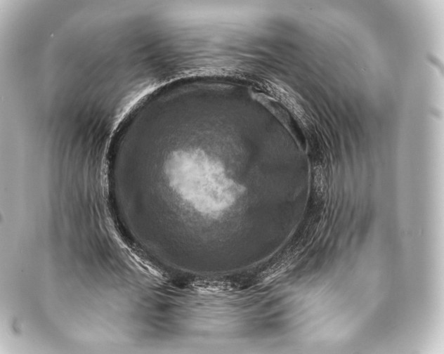 X0000095550676200712281607