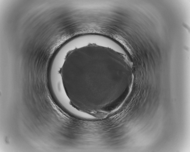 X0000095550677200712281607