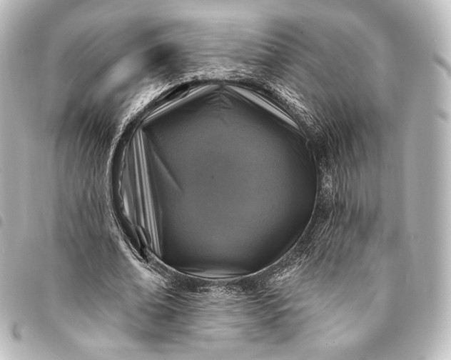 X0000095550678200712281607