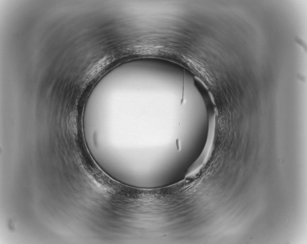 X0000095550682200712281607