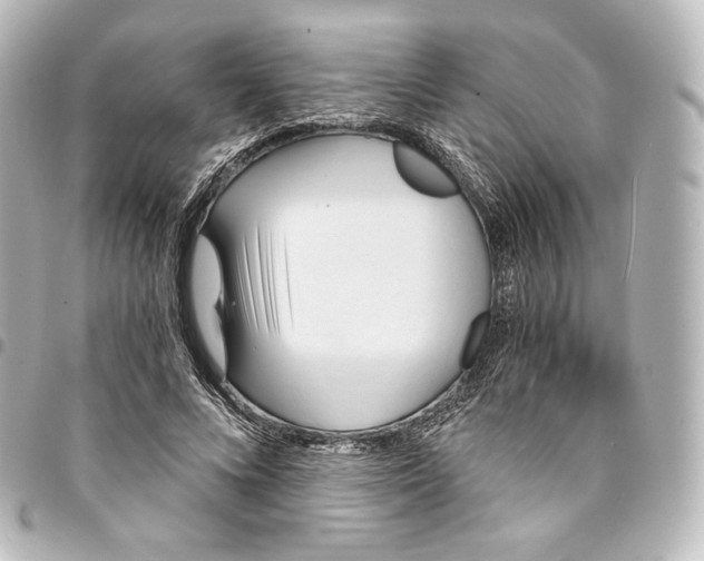 X0000095550688200712281606