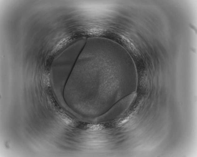 X0000095550689200712281606