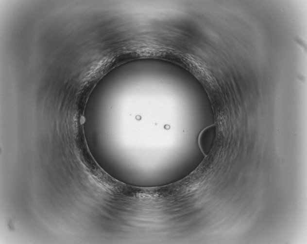 X0000095550690200712281606