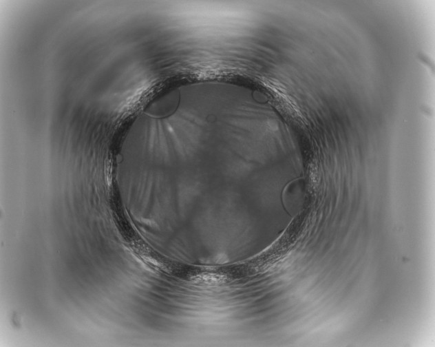 X0000095550691200712281606