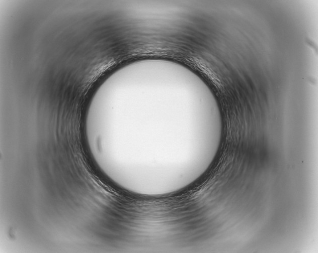 X0000095550692200712281606