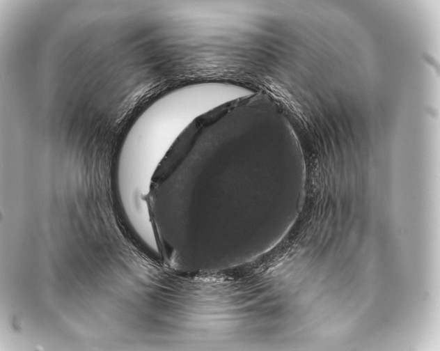 X0000095550693200712281606