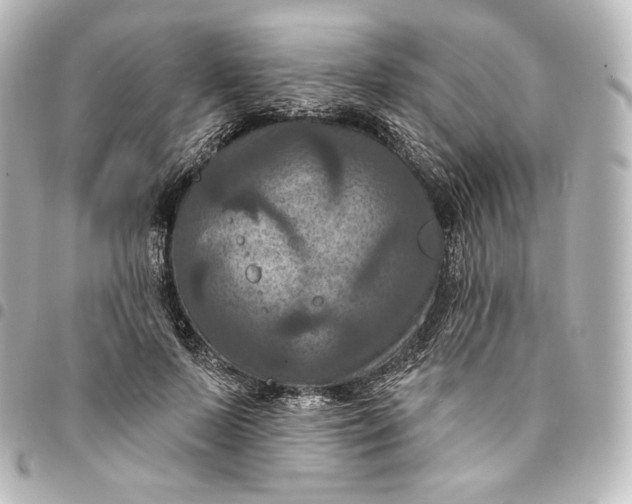 X0000095550695200712281606