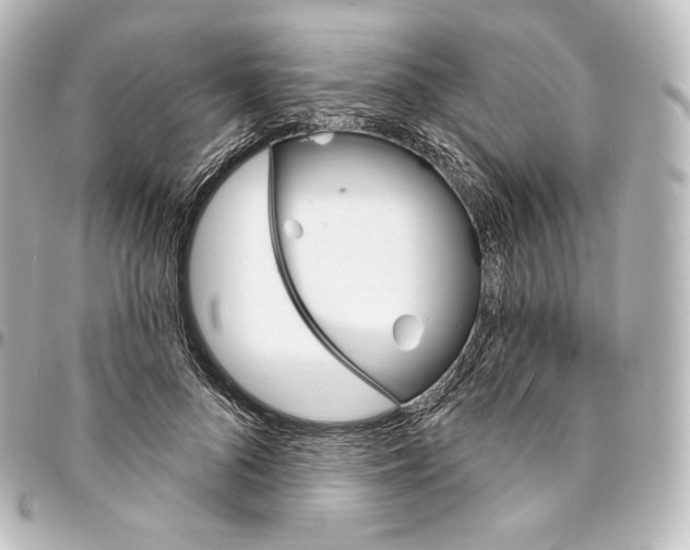 X0000095550696200712281606